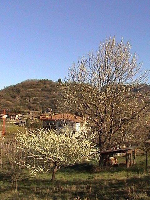 B&B La Pinara Trento Exterior photo